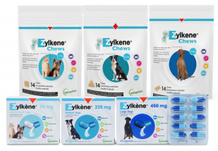 Zylkene Capsules and Chews for Cats and Dogs